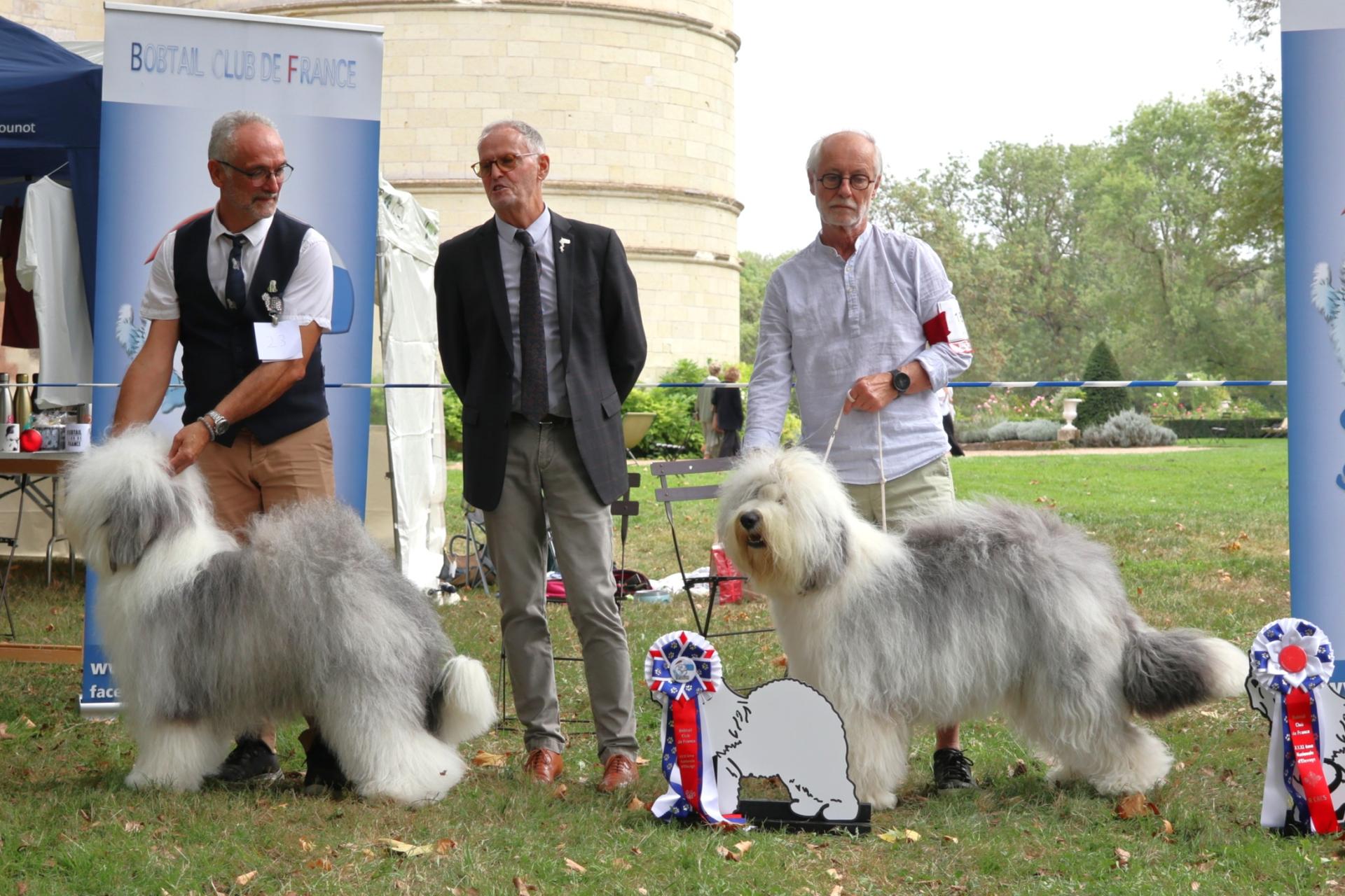 CACS RCACS Femelle NE 2026