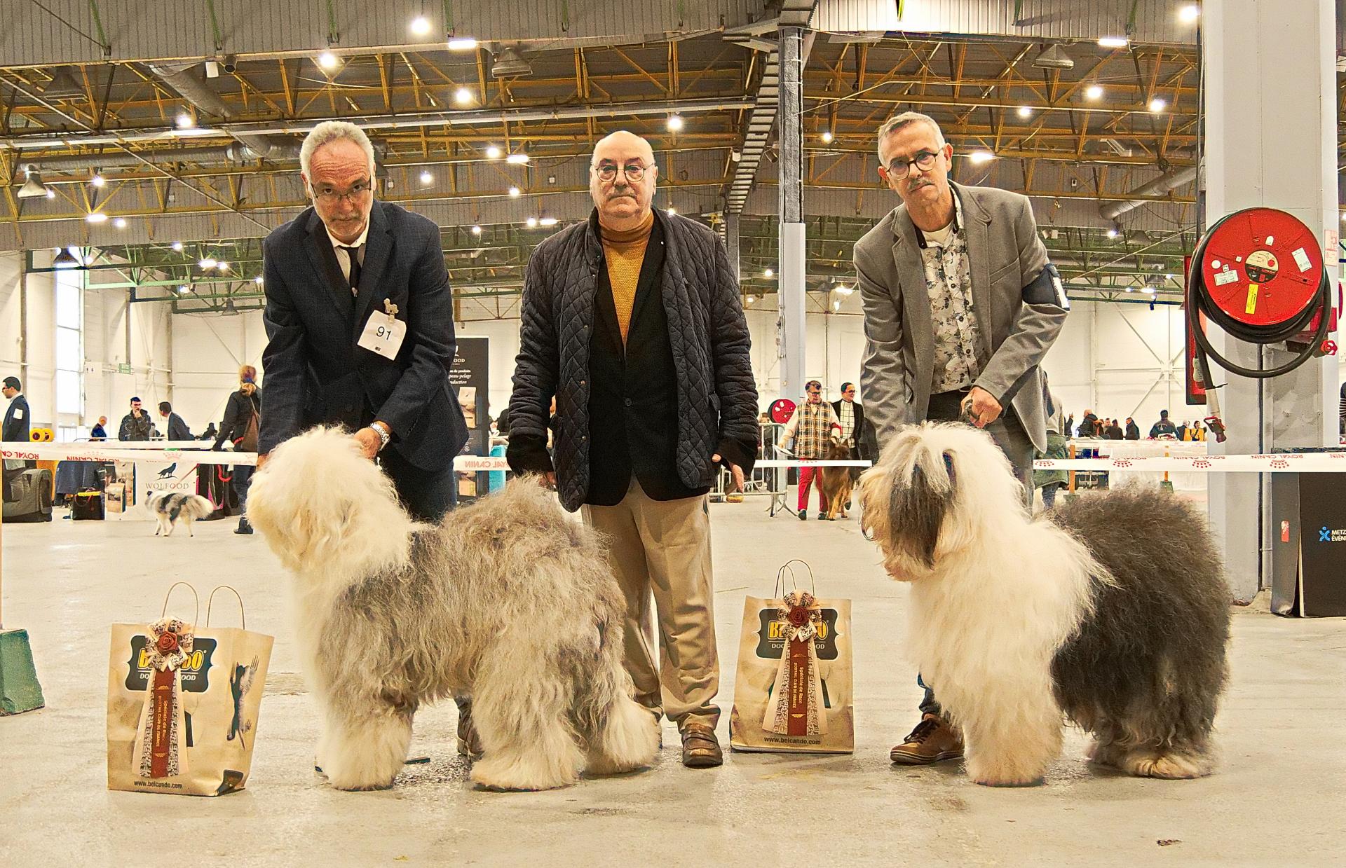 CAC Femelle spéciale de Metz